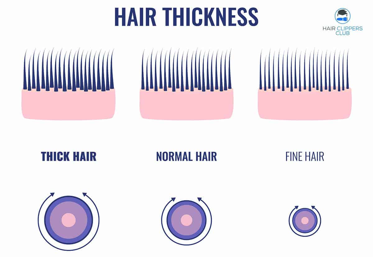 Hair thickness